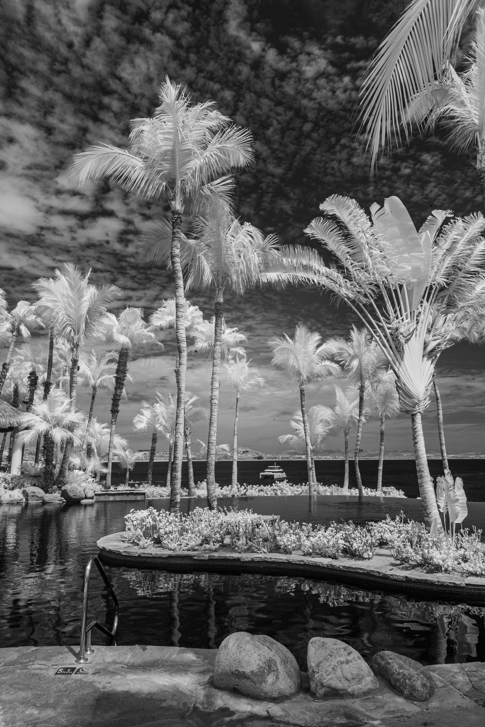 Palmilla Pool IR